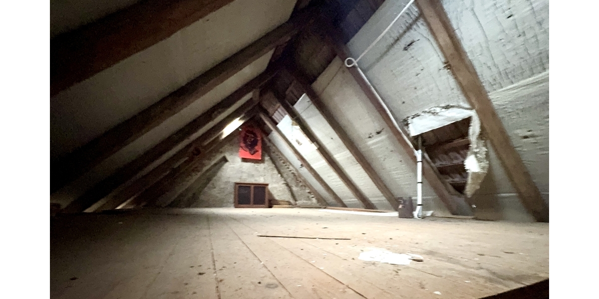 Haus L Dachspitz